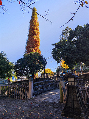 2024120606.jpg