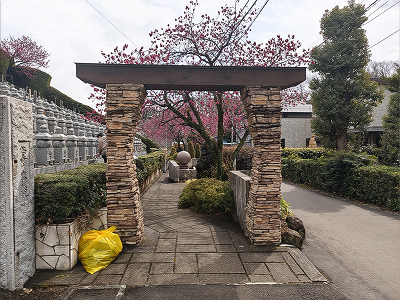2025031310.jpg