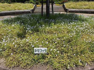 2025052003.jpg