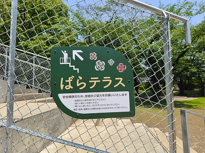 2025052022.jpg